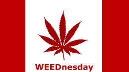 WEEDnesday - Wednesday weed day for canadians