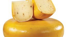 La fromagerie Boivin veut faire vieillir du fromage dans la rivière St-François